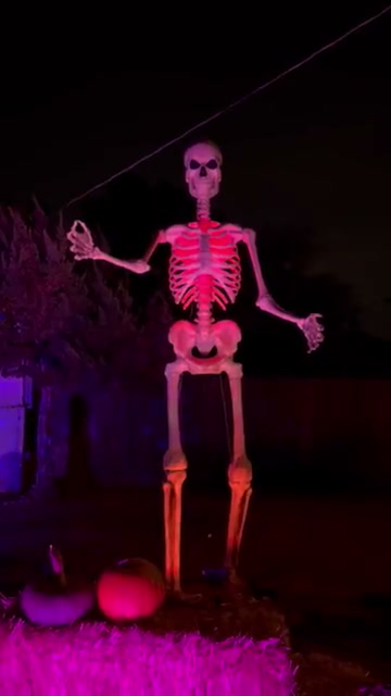 Animating the Skeleton