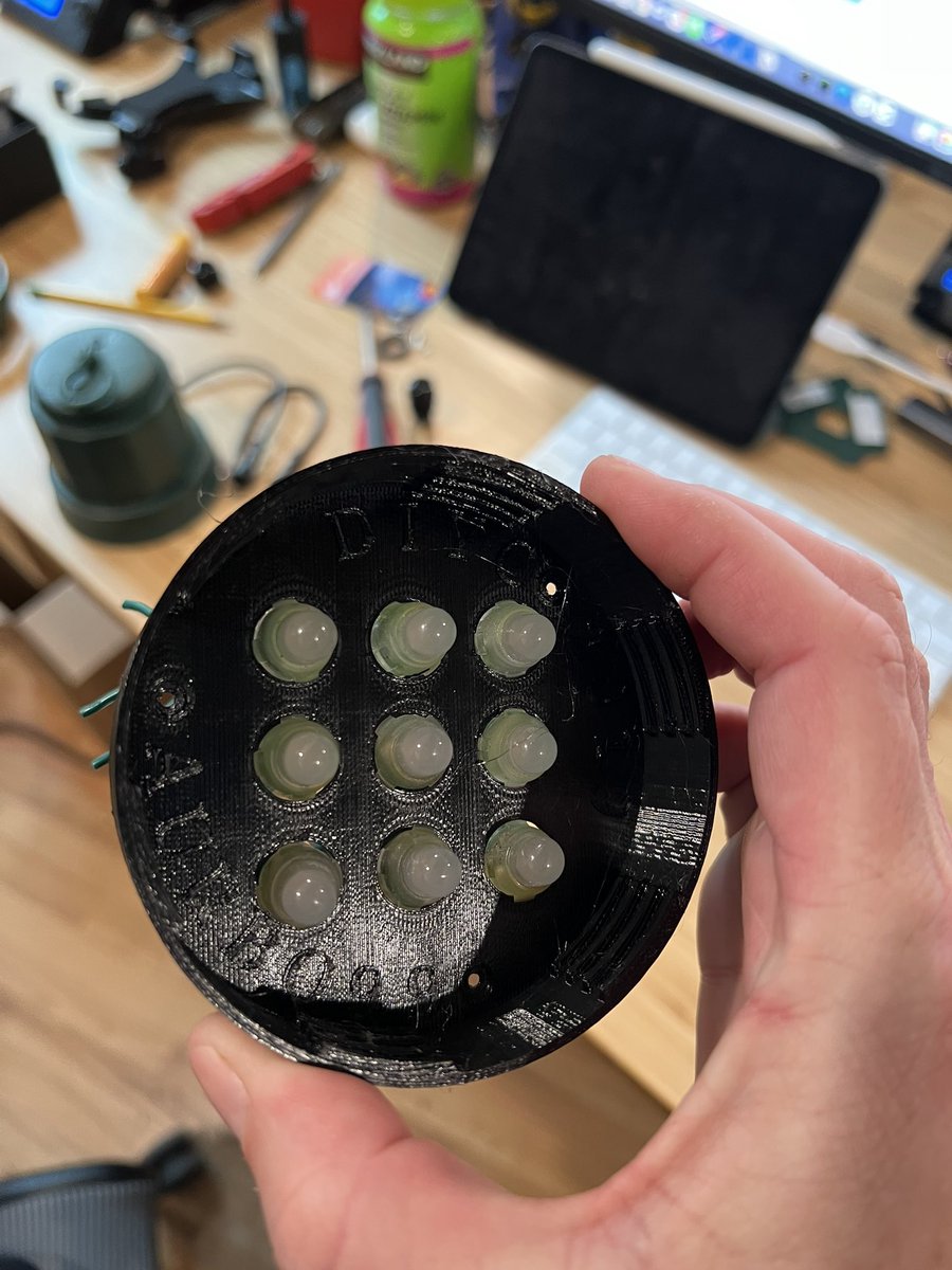 The Great Christmas Tree Experiment