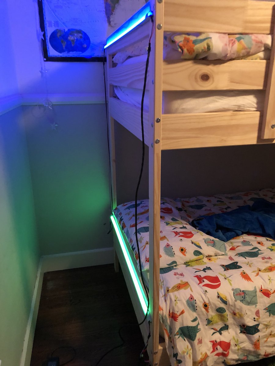 The Great Christmas Tree Experiment