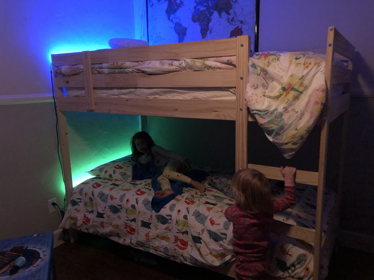 The Great Christmas Tree Experiment