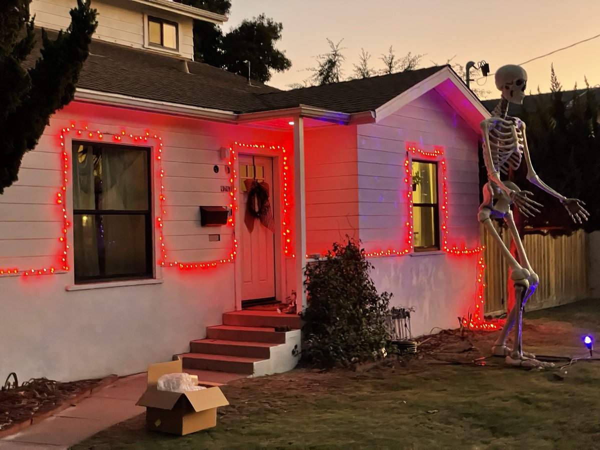 The Great Christmas Tree Experiment