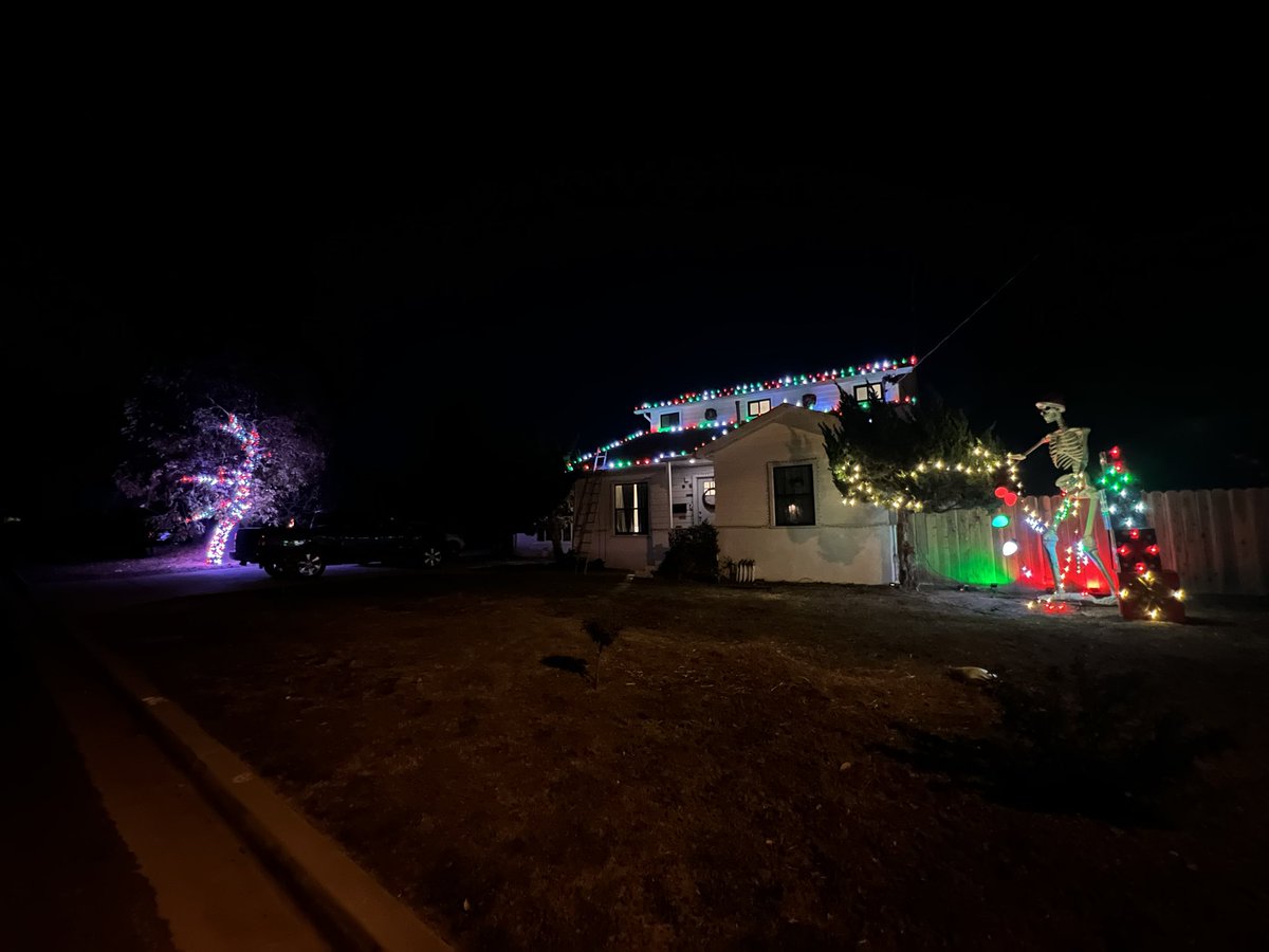 The Great Christmas Tree Experiment