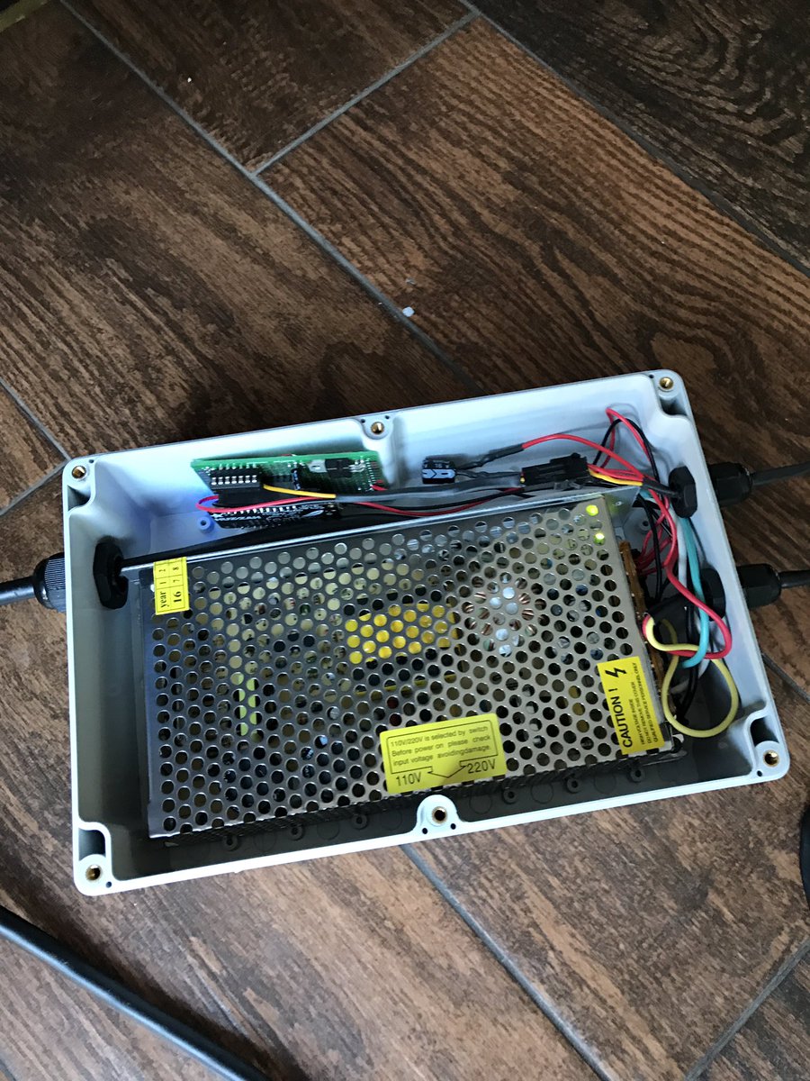 The Great Christmas Tree Experiment