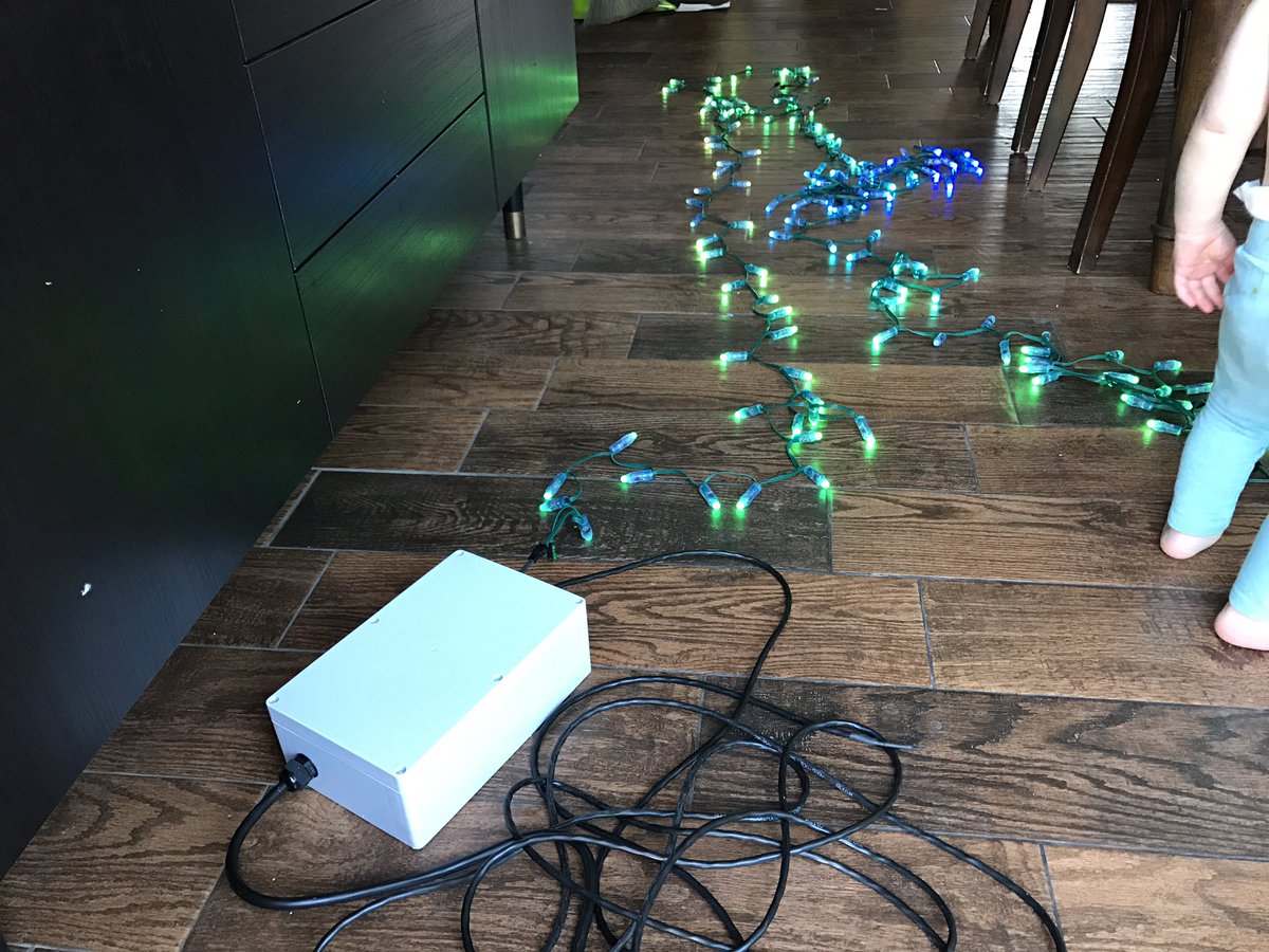 The Great Christmas Tree Experiment