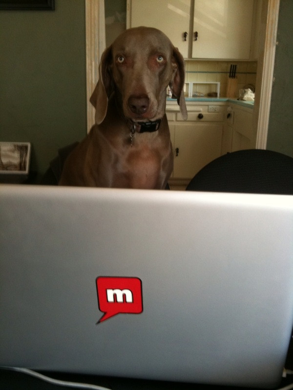Coding helper